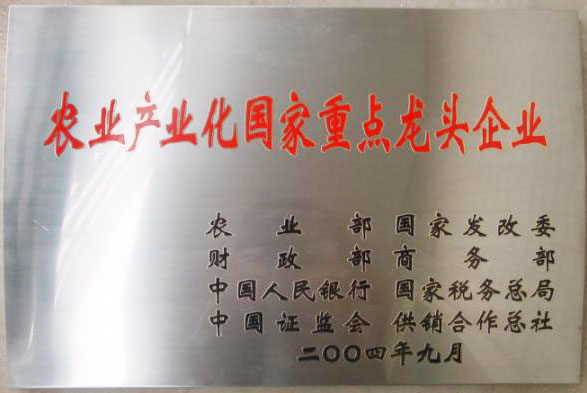 立足过去、放眼未来，乐动(中国)二十三岁生日快乐