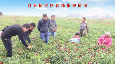 聚焦两会：乐动(中国)严守产品质量，积极创新研发，助力乡村振兴